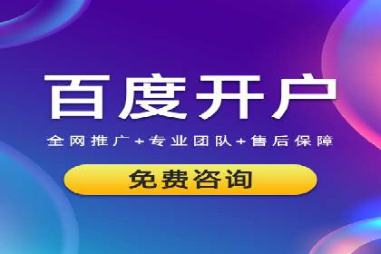 案例分析：托管SEM竞价助力电商旺季促销